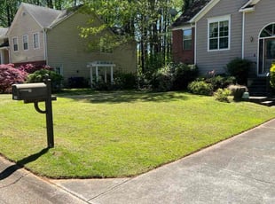 Dorothea (Candice) B.'s lawn care services service result