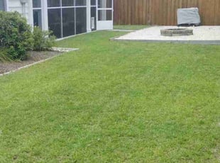 Jekisha G.'s turf maintenance service result