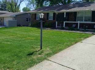 Robert C.'s yard care service result