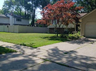 Emzie G.'s grass cutting service result