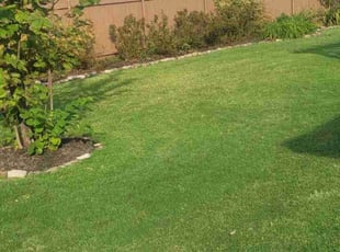 Deborah L.'s lawn maintenance service result