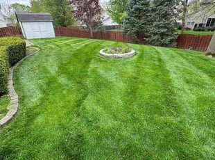 William W.'s turf maintenance service result