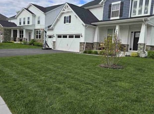 Linda B.'s grass maintenance service result