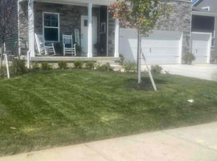 Carolyn B.'s turf care service result