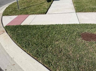 Scott T.'s grass maintenance service result