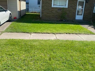 Lauren W.'s turf maintenance service result