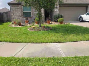 Diana M.'s turf care service result