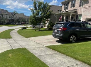 Emily S.'s grass cutting service result