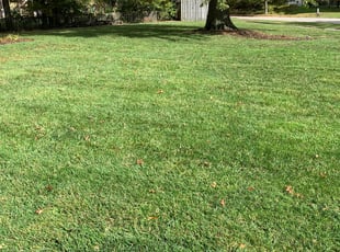 Katie J.'s lawn care services service result