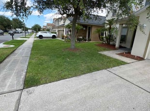 Maria W.'s lawn service service result