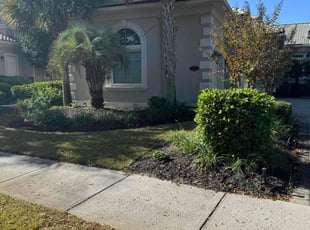 Susie T.'s Bush Trimming service result