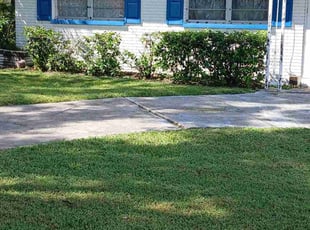 Traci R.'s Bush Trimming service result