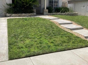 Theta Y.'s lawn maintenance service result