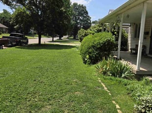Mizani A.'s lawn care services service result