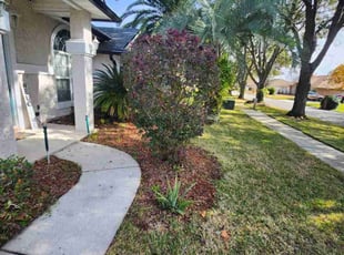 Bonita P.'s Bush Trimming service result