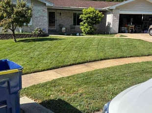 Eileen R.'s lawn care service result