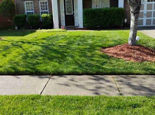 Ashley T.'s turf maintenance service result