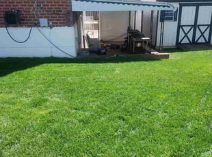 Christina B.'s lawn care service result