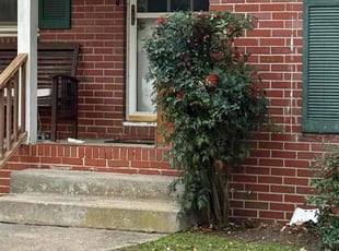 Greg W.'s Bush Trimming service result