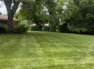 Kelli J.'s lawn care service result
