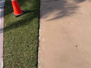 Carmelita K.'s lawn care services service result