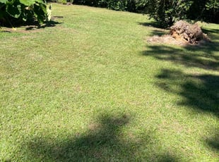 Saray c.'s lawn care services service result