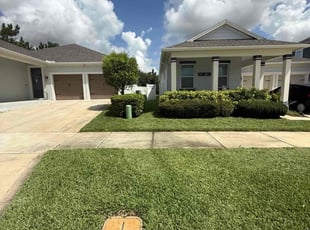 Ray V.'s grass maintenance service result