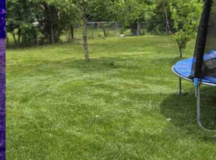 Steve T.'s turf maintenance service result