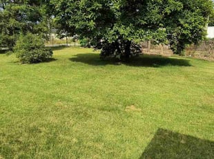 Kristi H.'s lawn maintenance service result
