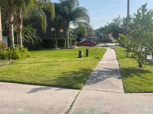 Darryl J.'s lawn service service result