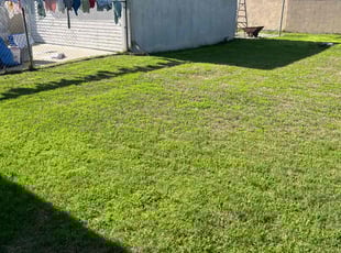 Jan D.'s lawn care service result