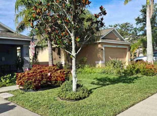 Clement M.'s lawn maintenance service result