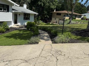 Ryan S.'s grass maintenance service result