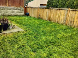 Robert M.'s lawn care service result