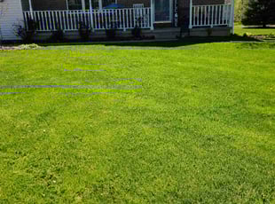 Dawn W.'s landscaping services service result