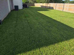Tom C.'s lawn care service result