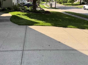 Suzanne Z.'s grass maintenance service result