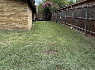 Grace J.'s grass cutting service result