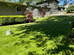 Bonnie S.'s lawn maintenance service result