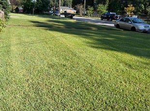 Loretta D.'s turf maintenance service result