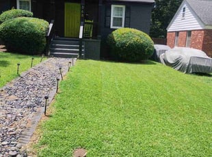 Stormy H.'s grass maintenance service result