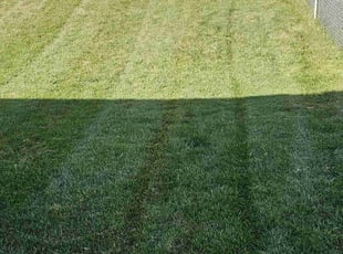 Jimmia L.'s lawn service service result