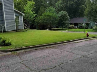 David P.'s lawn care service result