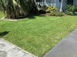 Michael V.'s lawn maintenance service result