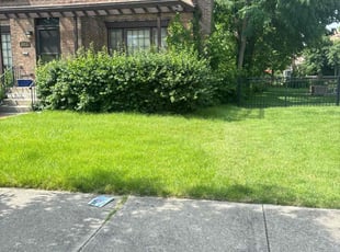Terence S.'s lawn service service result