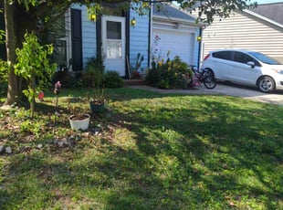 Rosie S.'s grass cutting service result