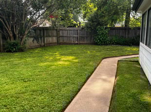 Matt M.'s lawn care services service result