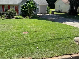 Jeff B.'s grass maintenance service result