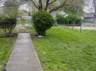 Michael F.'s turf care service result