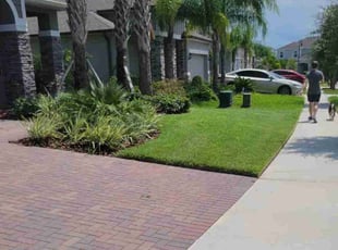 Mike A.'s lawn service service result